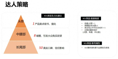 小红书站内竞品分析该怎么做?从投放内容和品牌号来了解